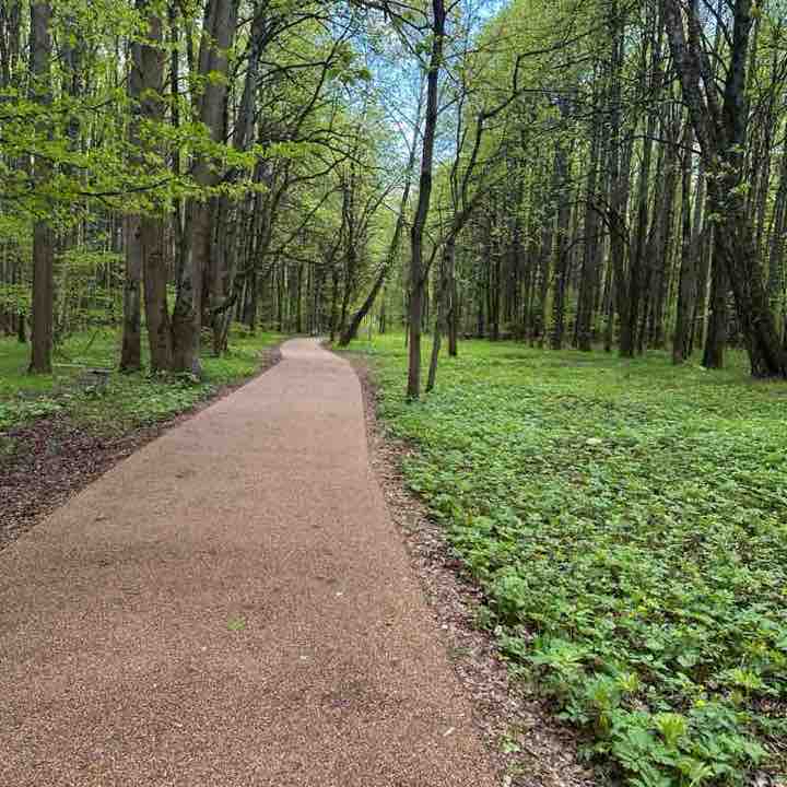 Парковый 10,0