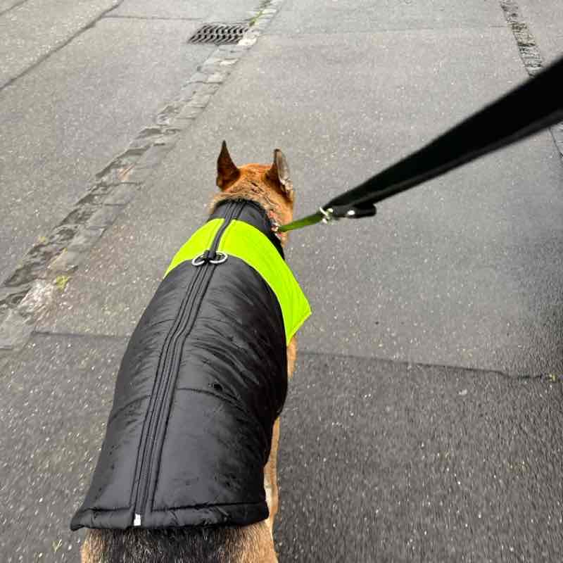 Abendtraining