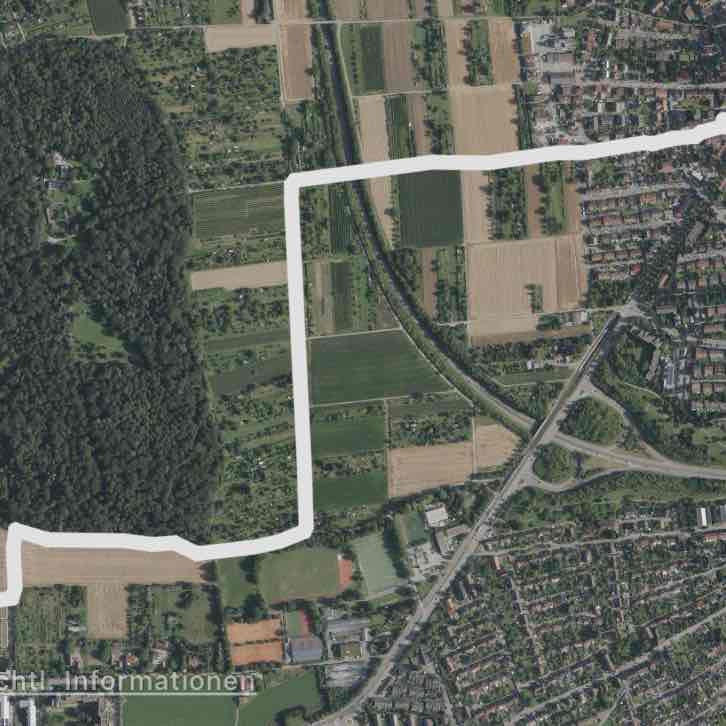 Laufen zum löwen- Markt