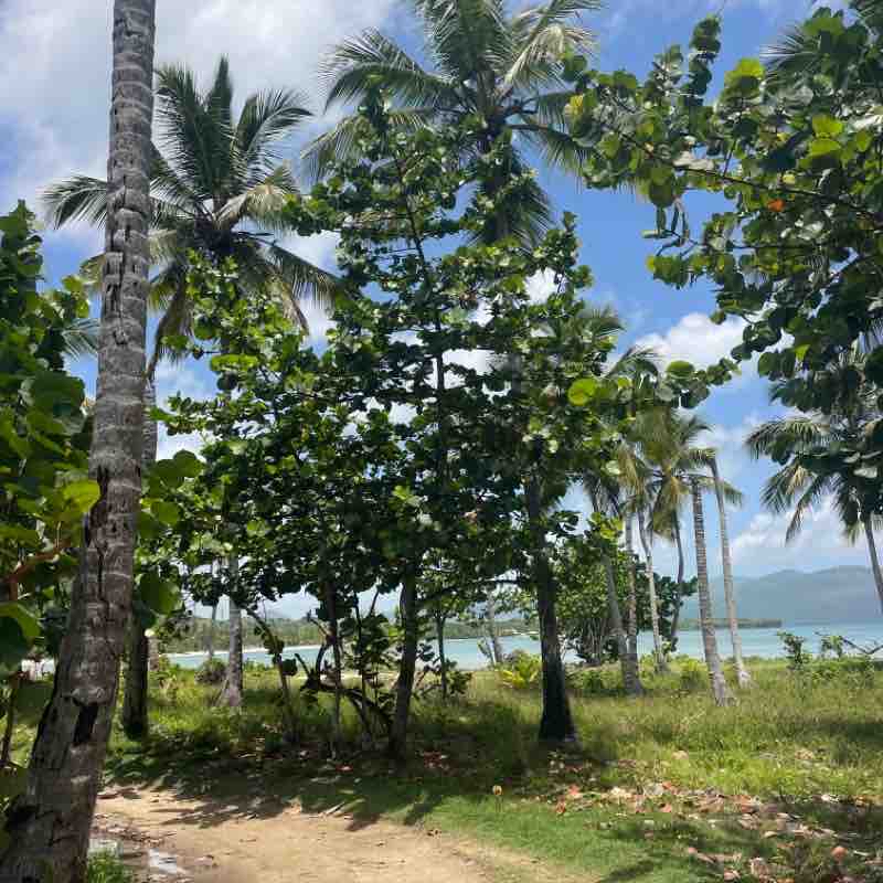 Playa Grande Las Galeras