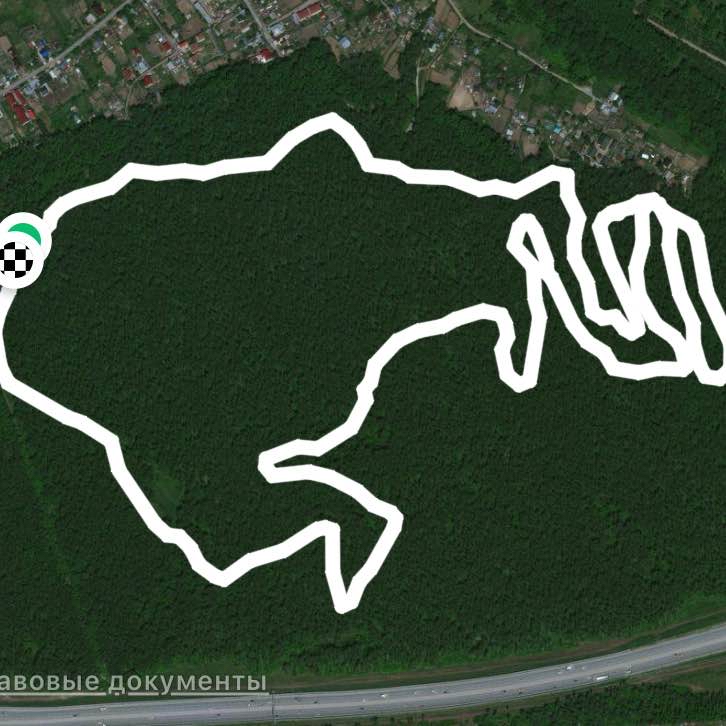 Бугринская роща