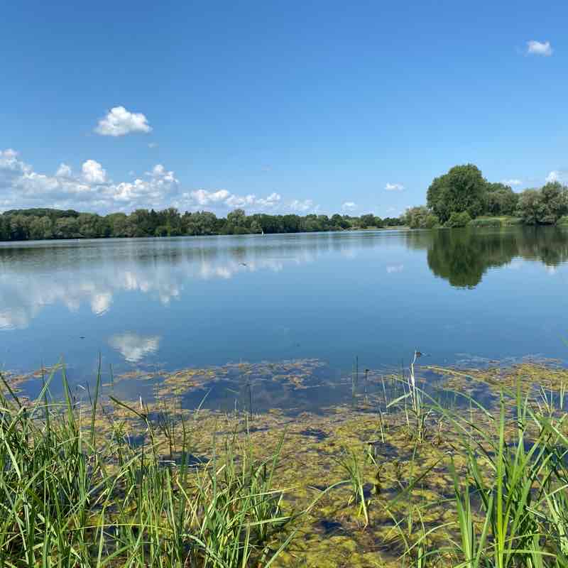 Autour du lac de Sedan.