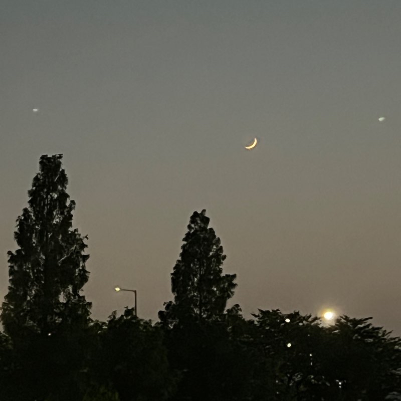 수영강 가로수길