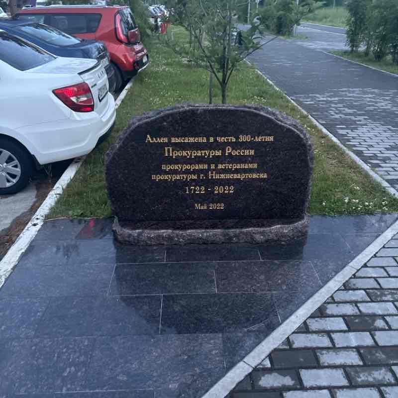 Вечерняя пробежка