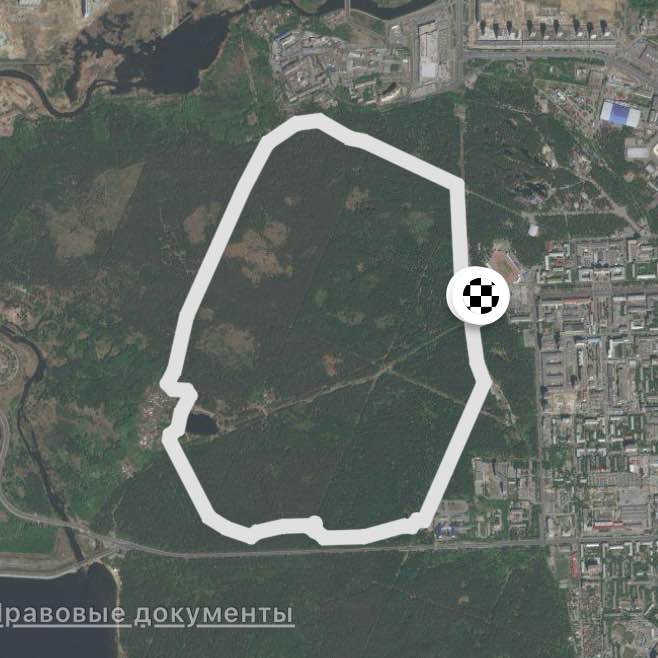 Лесная тропа