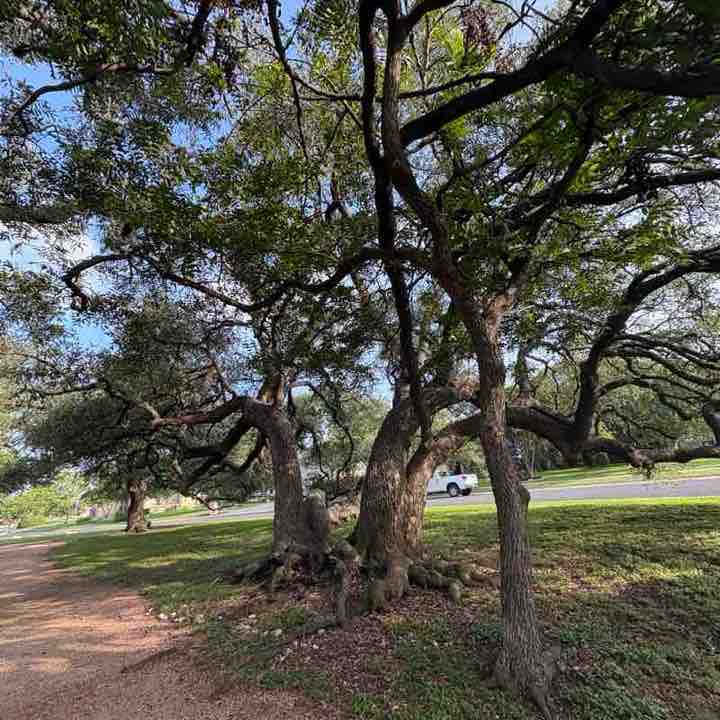 Apache to block house park