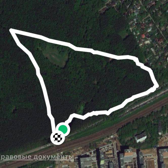 Один из маршрутов собакогуляния 🐾