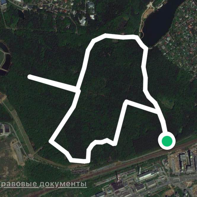 Заблудился в Мещере 😬🤣