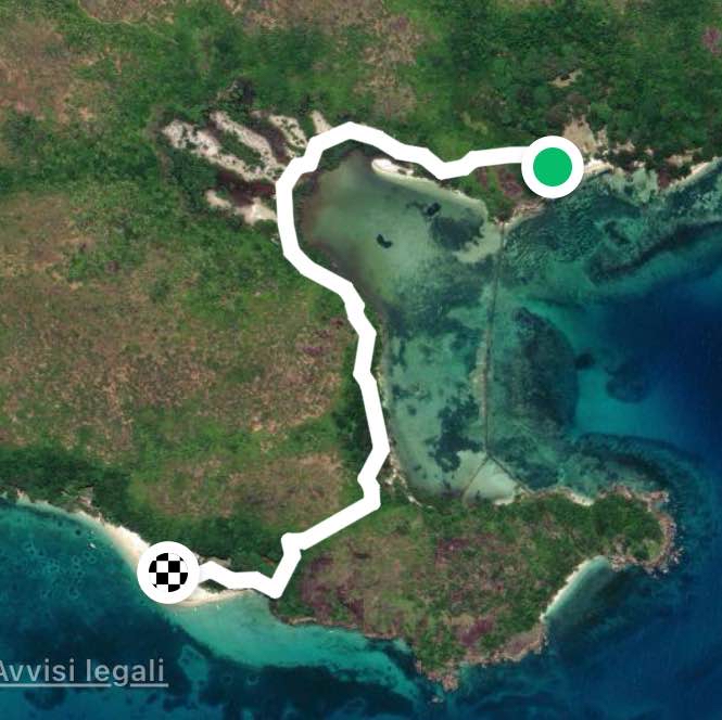 Isola tartarughe seyshelles