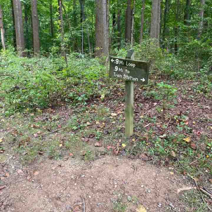 Wheaton Regional Loop