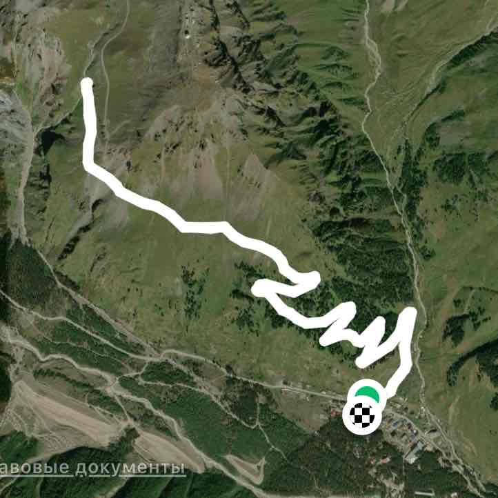 Девичьи косы