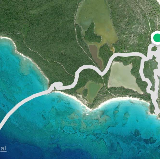 Disney’s Lighthouse Cay