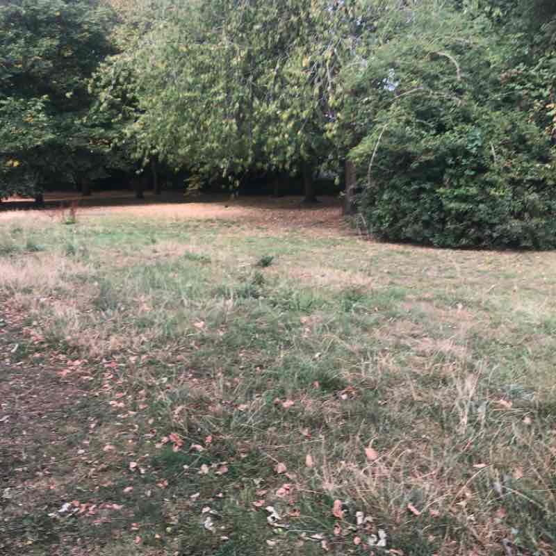 walk to Hampton common