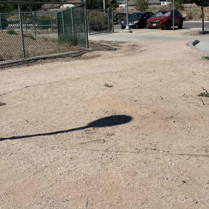 MY SKINNY QUEEN MILE RUN