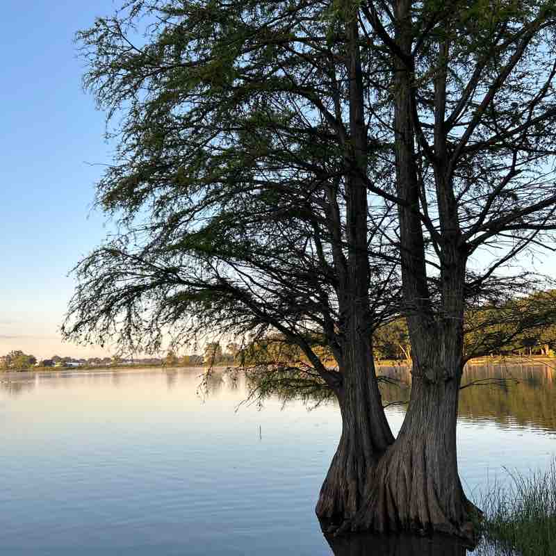 Clear Lake/ Fox Park