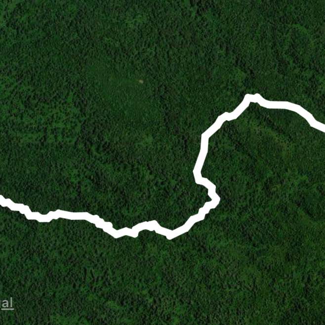 Day one REAL- Lemosho route
