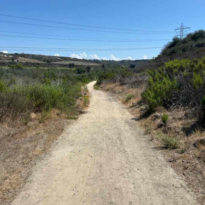 Veteran’s Park Hike