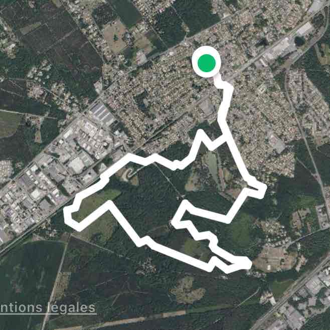 Monsalut par les bois