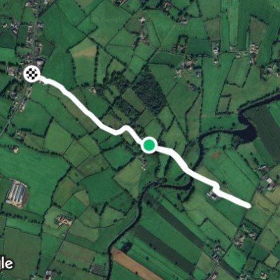 cot lane