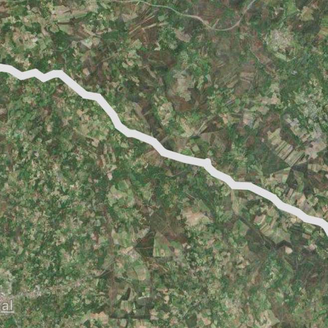 Camino de Santiago
