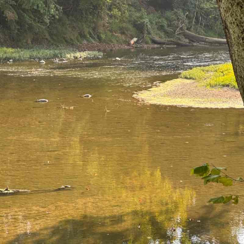 River Heritage Park.