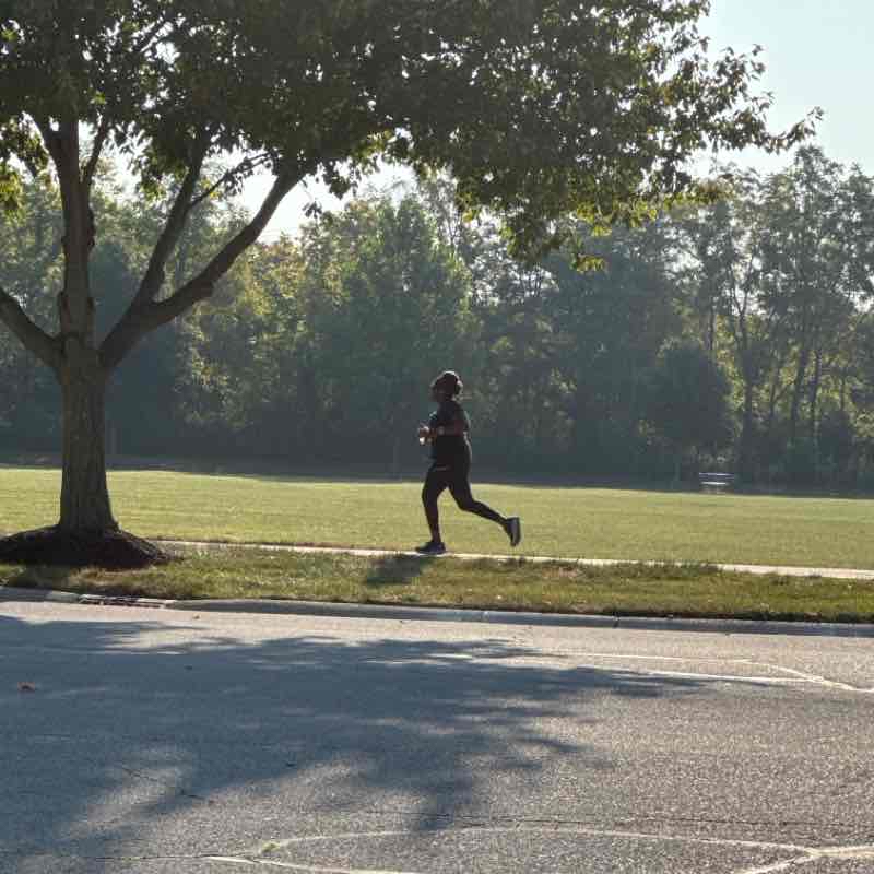 Brooks on a Busy Day