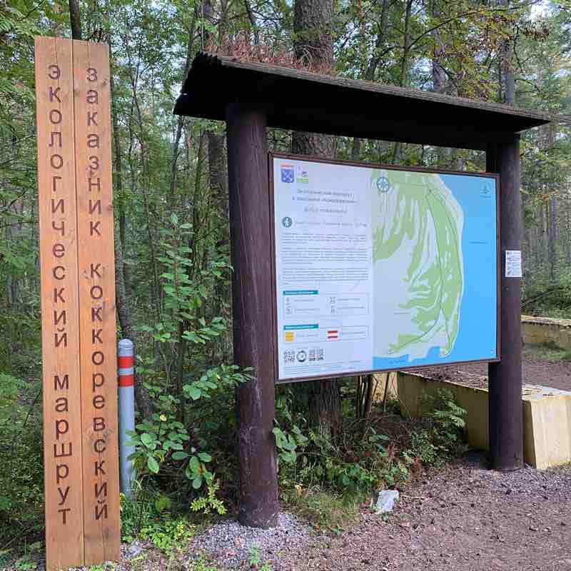 Экологический маршрут «Ладожские берега»