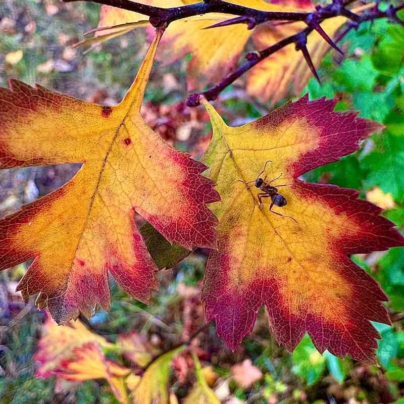 Парк Водники