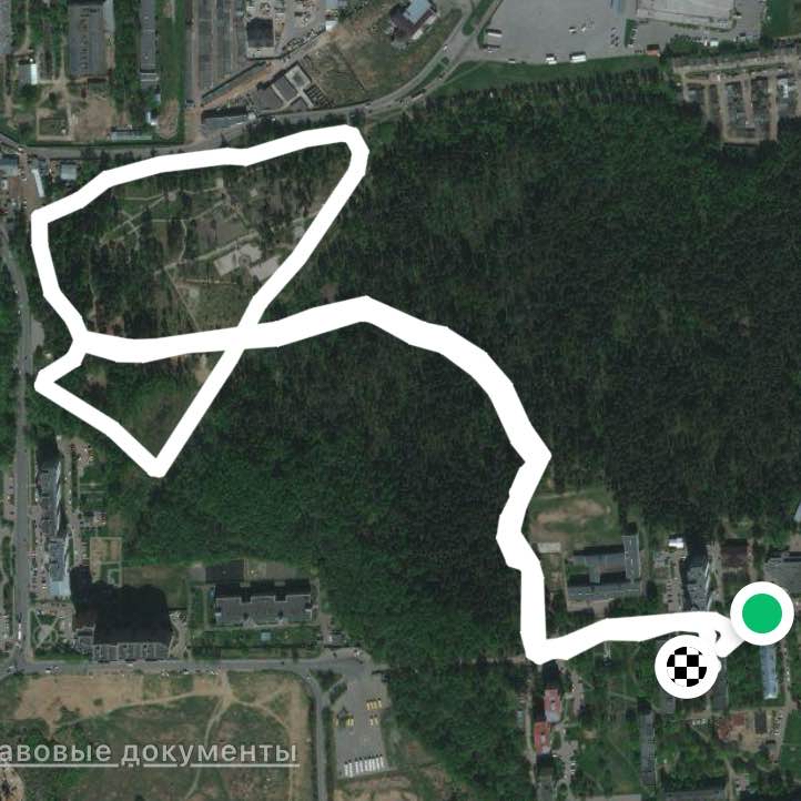 Прогулка в парке