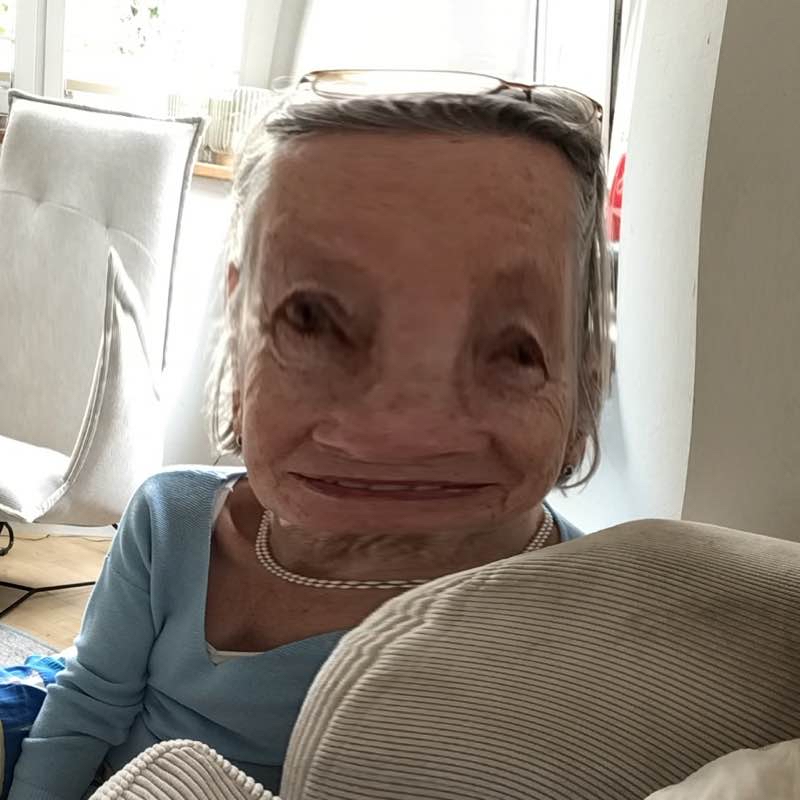 Leos tägliche Fahrradroute