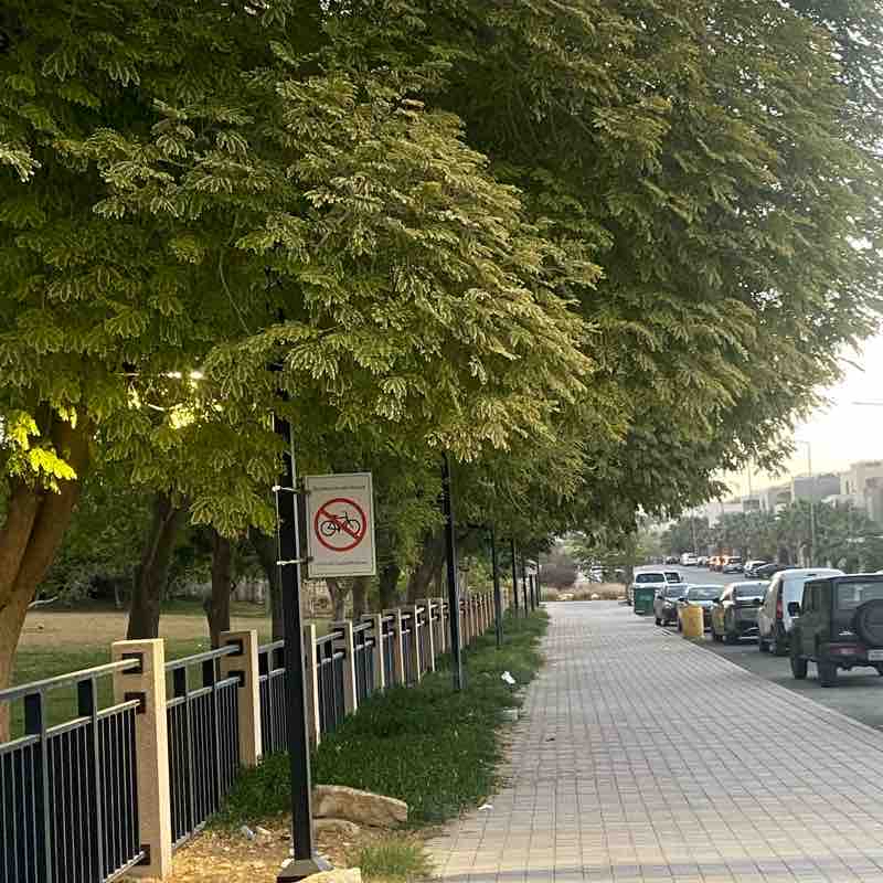 Masharef Hills -Narjis - Running