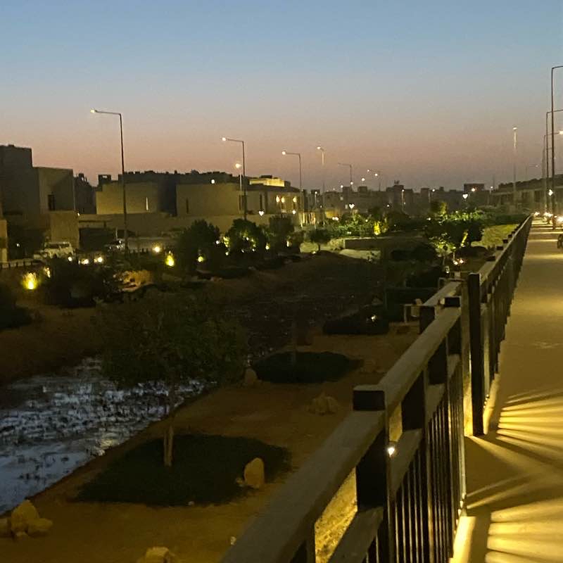 Wadi Talalah - Narjis