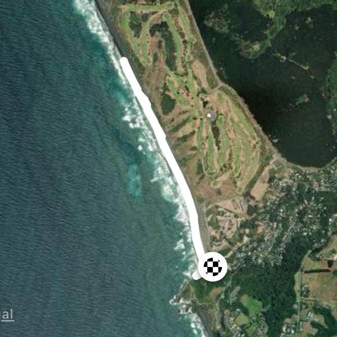 Muriwai 4 km walk number 2