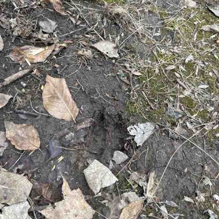 Gloomy Feb Day at Flat Rock