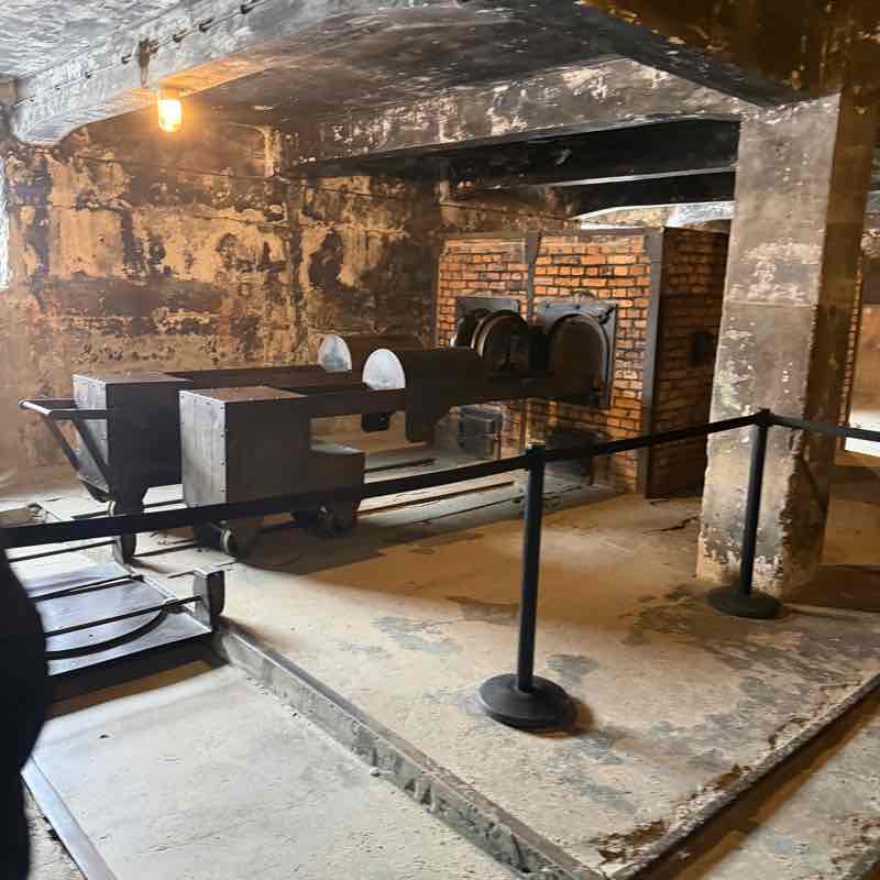 holocaust trip