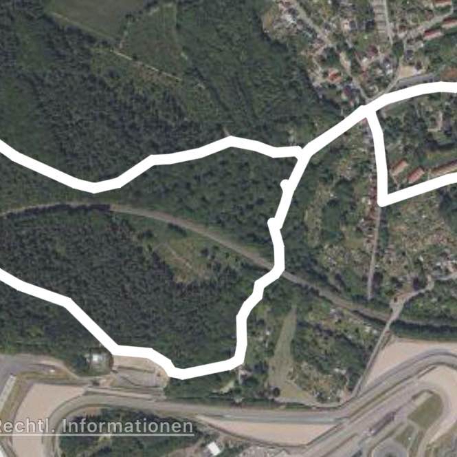 Sonntäglicher Waldspaziergang