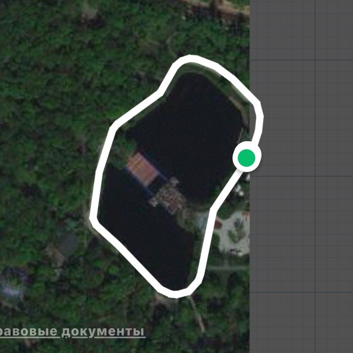 Садовый пруд