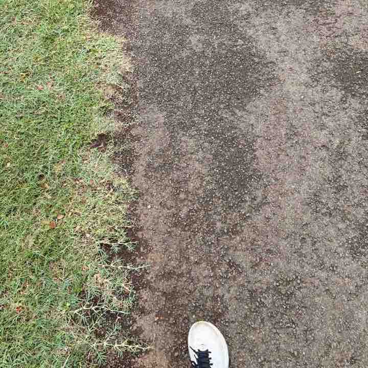 Don’t run with lazy dogs