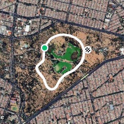 Interior del Bosque de Aragon