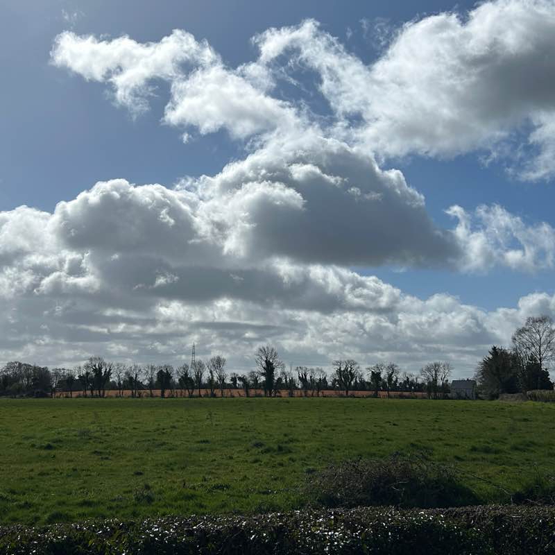 Co. Meath - 🇮🇪