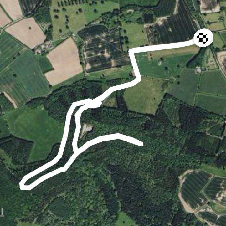 Garnstone Park near Weobley Herefordshire