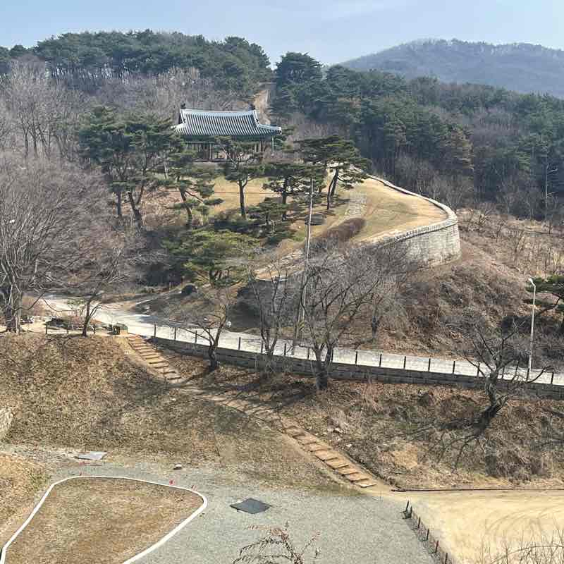 2026.03.26.사뇨ㅓㅇ걷기