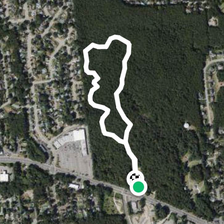 Blue trail