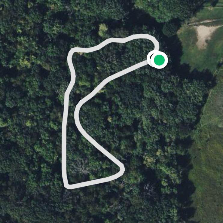 Dog Park Loop