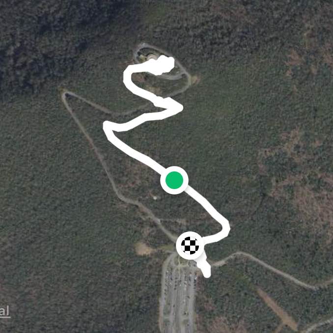 Brasstown bald trail