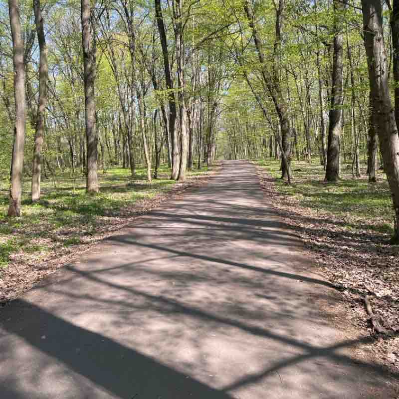 Morning walk