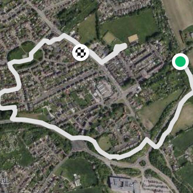 Maisie and Hollys big walk