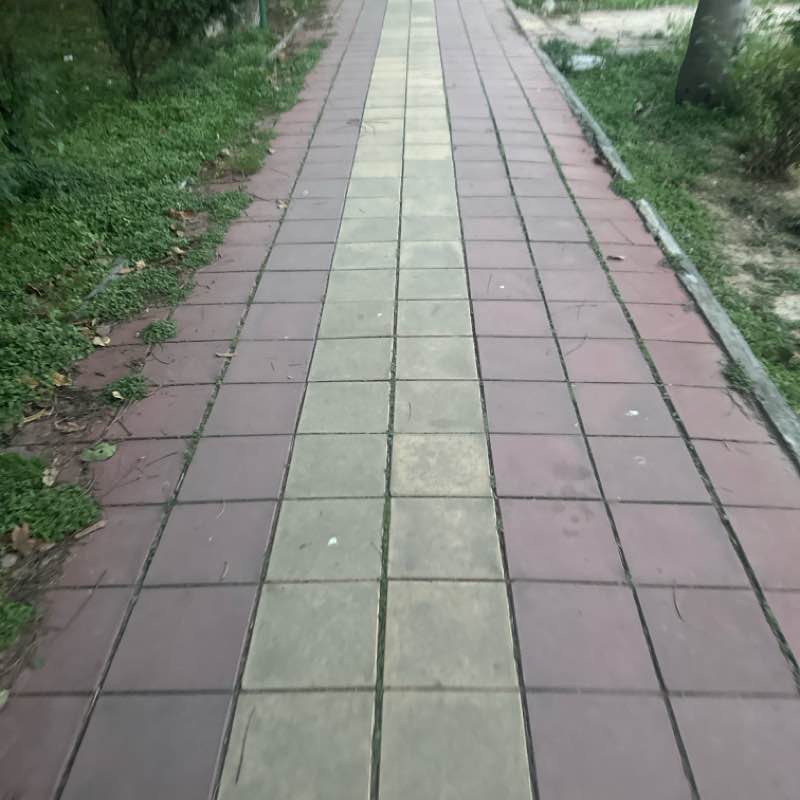 Company bagh