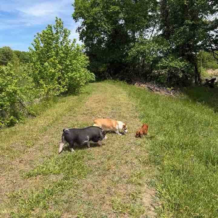 Sandabama ranch