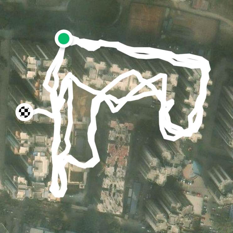 Night walk